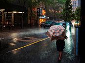 Sintflutartige Regenfälle in New York von Rutger van Loo Miniaturansicht