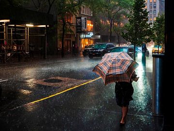 Stortregen in New York van Rutger van Loo