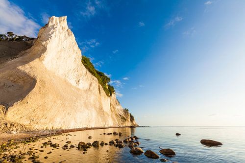 Møns Klint on the island of Møn in Denmark by Werner Dieterich