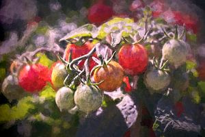 Tomaten