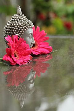 Boeddha met gerbera's