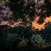 Zonsondergang door de bladeren van FotoGraaG Hanneke