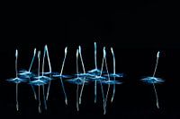 Des ballerines dansent dignement sous la lumière de la pleine lune.