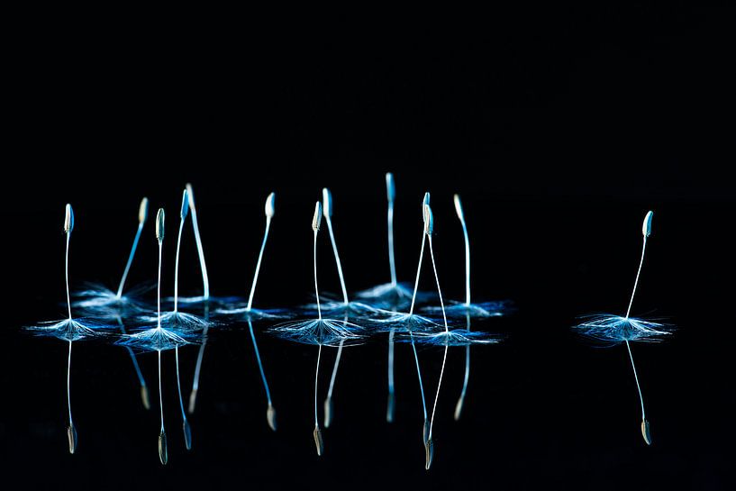 Des ballerines dansent dignement sous la lumière de la pleine lune. par Gerry van Roosmalen