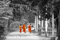 Mönche gehen im Tempel spazieren von Levent Weber Miniaturansicht