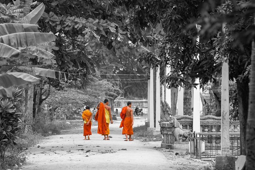 Mönche gehen im Tempel spazieren von Levent Weber
