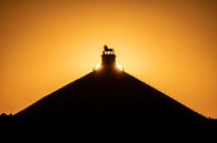 Sonnenuntergang über dem Löwen von Waterloo von Jim De Sitter Miniaturansicht