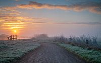 Inner field Winter morning by Bart van den Dikkenberg thumbnail