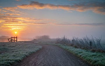 Binnenveld Winterse ochtend van Bart van den Dikkenberg