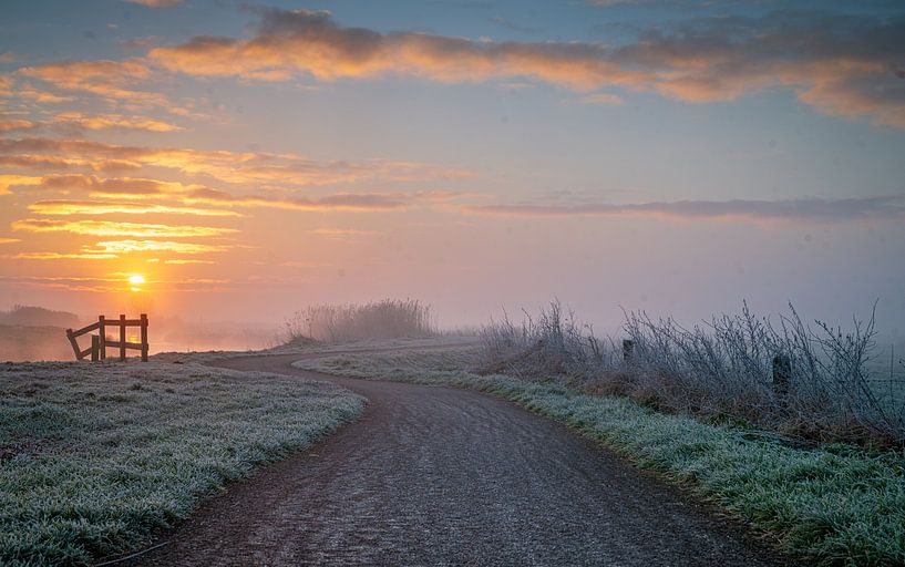 Inner field Winter morning by Bart van den Dikkenberg