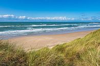 Dune and beach near Hirtshals in Denmark by Rico Ködder thumbnail