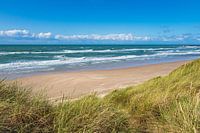 Duin en strand bij Hirtshals in Denemarken