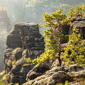 Bärenhorn uitzicht, Saksisch Zwitserland - Kleine Bärenhorn, Heringstein van Pixelwerk