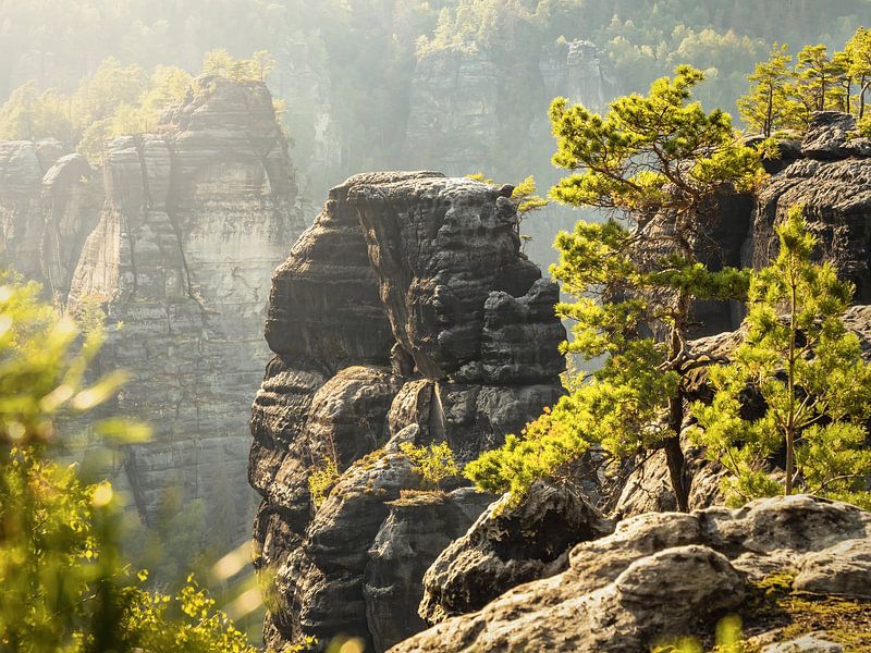Bärenhorn view in Saxon Switzerland - Kleines Bärenhorn, Heringstein by Pixelwerk