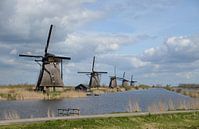 Moulins à vent de Kinderdijk : patrimoine mondial de l'Unesco par Rini Kools Aperçu