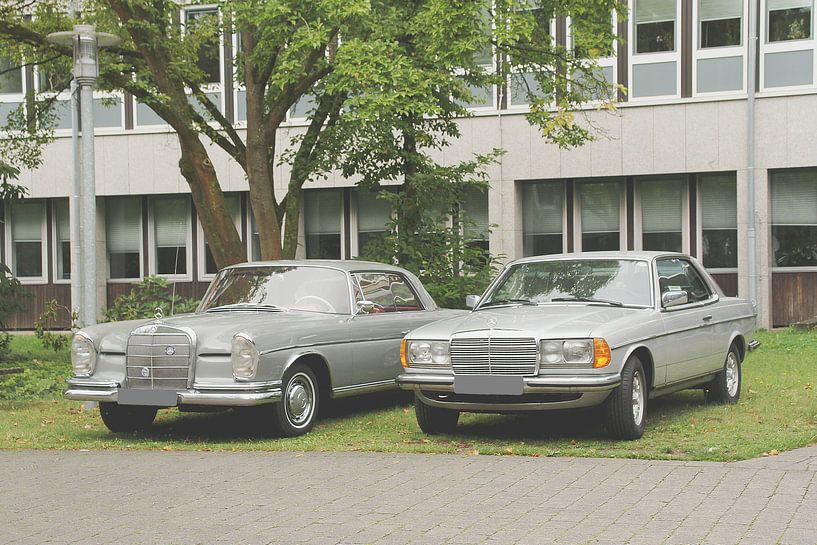 Mercedes Benz in a pack of two: W111 220 SE and W123 Coupe by Anja Bagunk