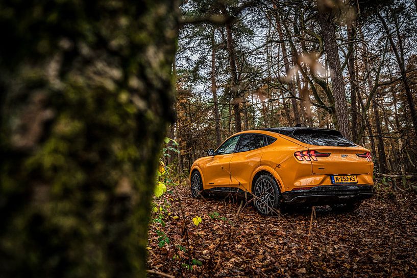 Neue Ford Mustang Mach-E GT van Bas Fransen