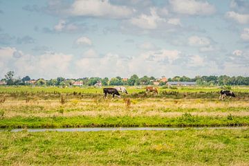 Nederland met zijn wolken en koeien van Caroline Pleysier