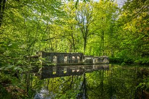 Ruine Seldensate spiegelt sich im Wassergraben
