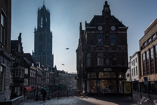 Utrecht in ochtendlicht 2