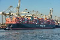 Containerschip Tihama van Hapag Lloyd.