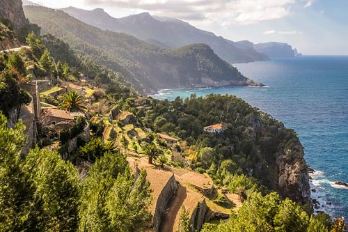 Terrassen bij het bergdorp Banyalbufar, Serra de Tramuntana, Mallorca