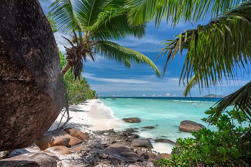 Tropisch strand van de Seychellen