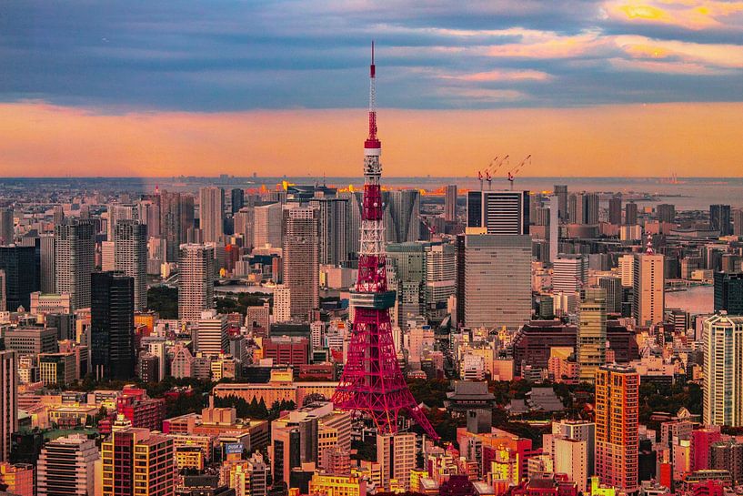 Tour de Tokyo par Hello Pompoyo