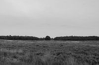 Landschap BW