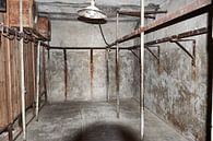 Lost place - Creepy house by Thomas Marx thumbnail