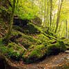 Waterfall during autumn in the Eifel region, Germany. by Rob Christiaans