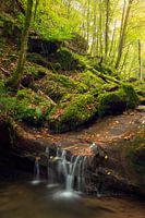 Waterfall during autumn in the Eifel region, Germany.