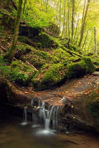 Waterval tijdens de herfst in de Eifel, Duitsland.