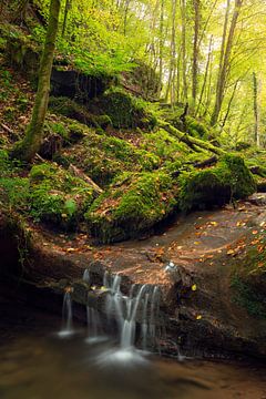 Waterfall during autumn in the Eifel region, Germany. by Rob Christiaans