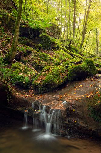 Wasserfall im Herbst in der Eifel, Deutschland.