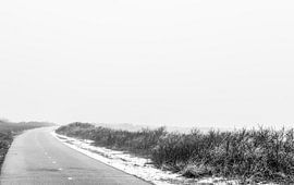 Into the mist by Tim Briers