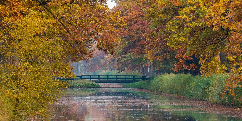 Apeldoorns Kanal mit Herbstfarben von Joop Gerretse