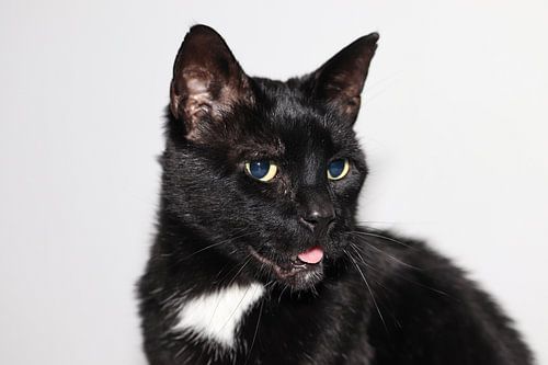 Nicht die schönste, aber die süßeste!