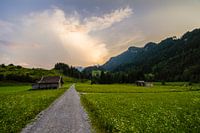 The mountains
