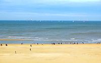 Tricolore aan zee