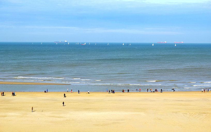 Tricolore aan zee van Bob Bleeker