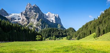 Rosenlauital Berner Oberland Zwitserland van Achim Thomae Photography