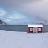 Rode hut met gele deur in de sneeuw van Tilo Grellmann | Photography