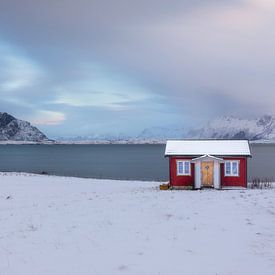Rode hut met gele deur in de sneeuw van Tilo Grellmann | Photography