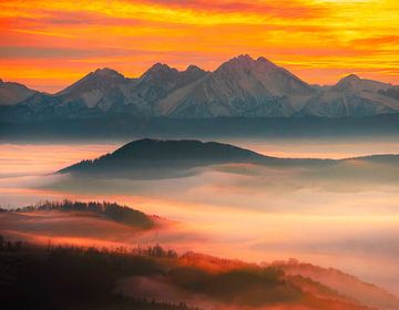 Sonnenaufgang in der Früh von Mustafa Kurnaz