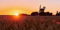 Landleben Romantik alte Windmühle im Sonnenuntergang von Tanja Riedel Miniaturansicht