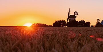 Landleben Romantik alte Windmühle im Sonnenuntergang von Tanja Riedel