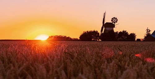 Het leven van het land romantiek oude windmolen in de zonsondergang
