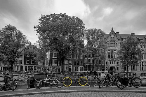 Yellow wheels