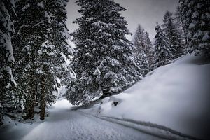 Wintersprookje HEMMERSUPPENALM X van Melanie Viola